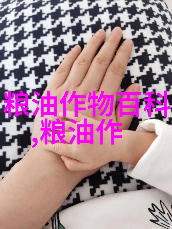 红小豆百科