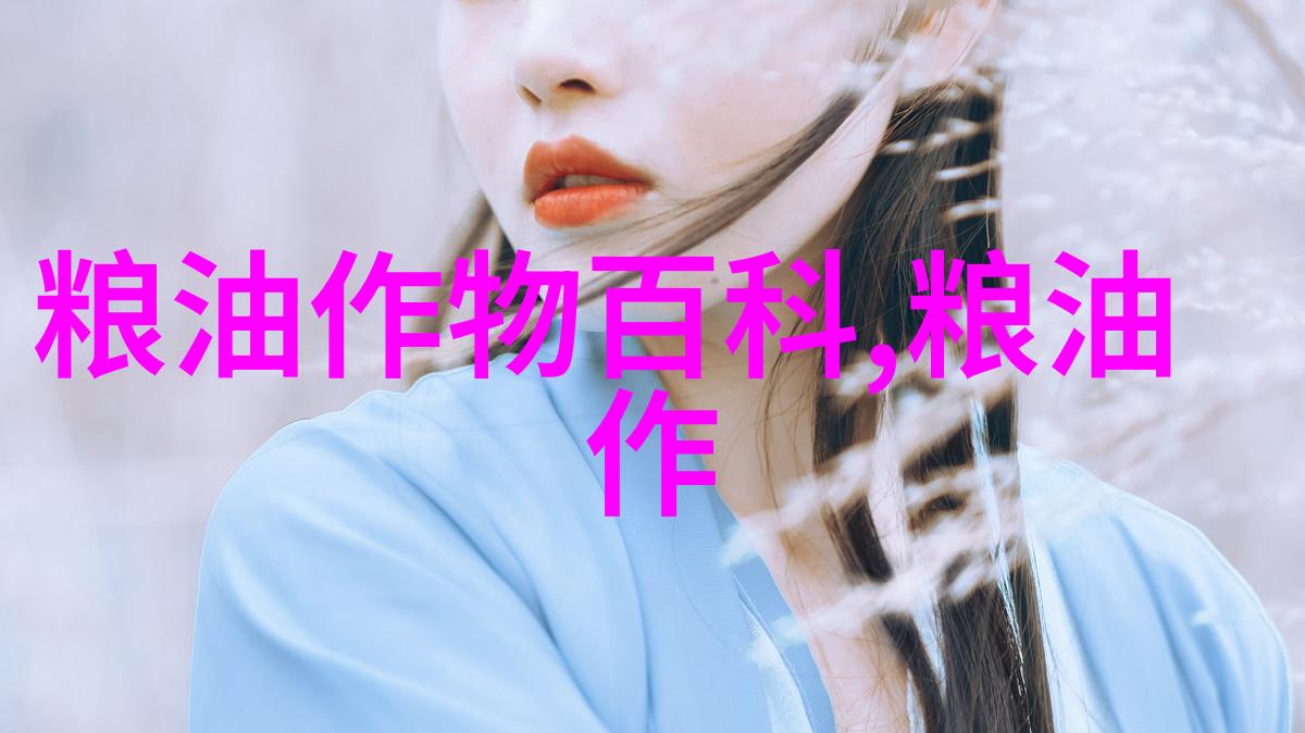 红米百科