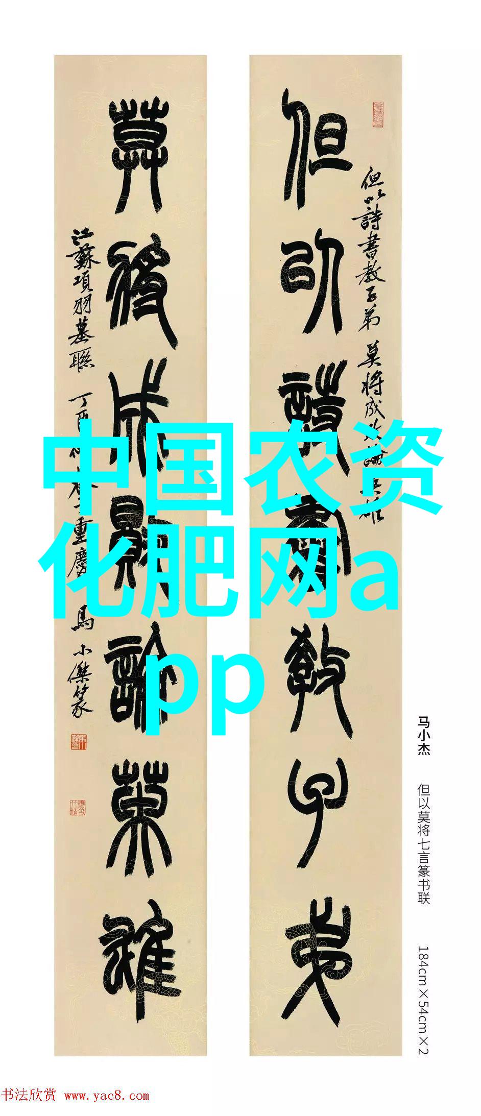 探索花卉种植技巧与实用指南