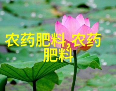 花卉苗木行业的未来机遇与挑战并存的发展之路