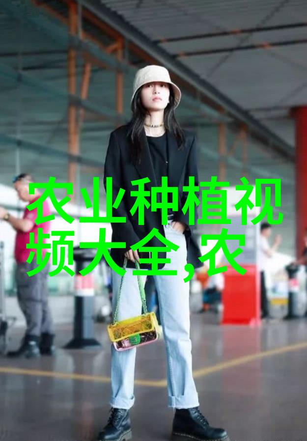 秋植四季豆须防锈病